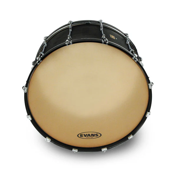 Evans Strata 1000 Bass Drum Head - 30 - Image 2