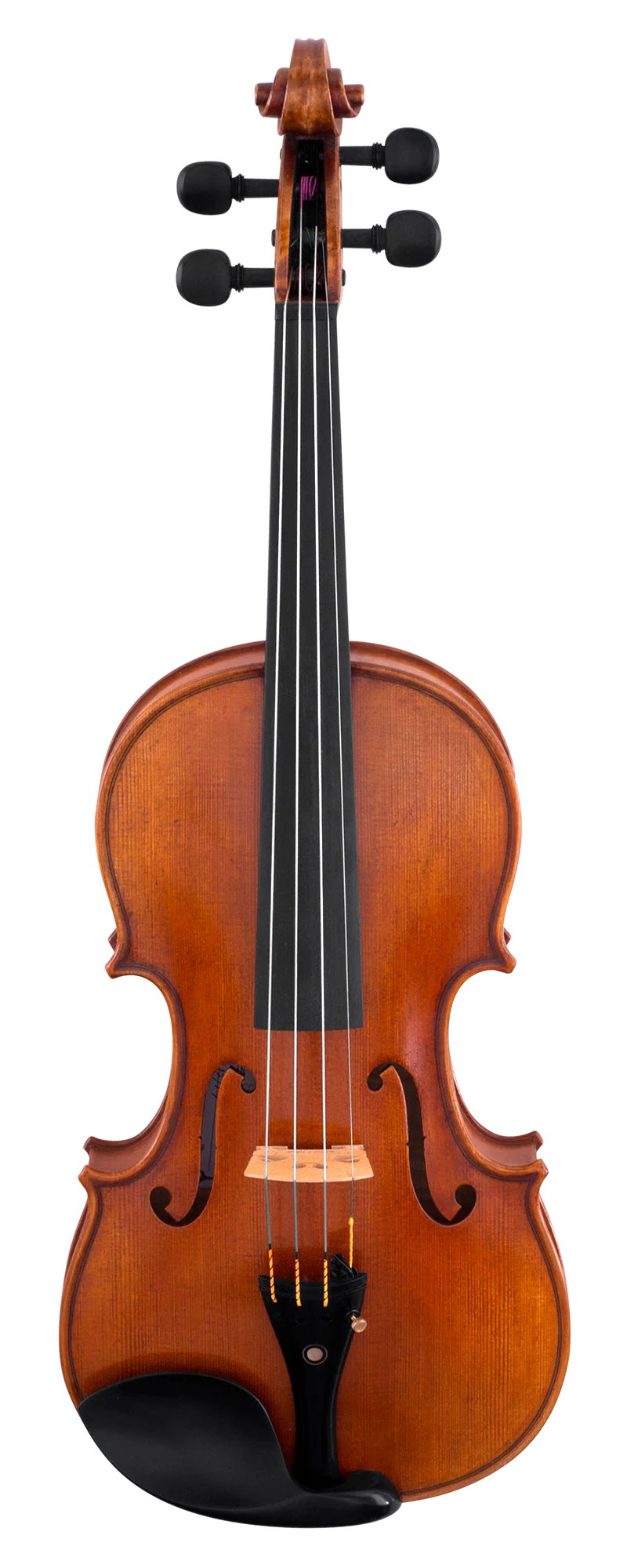 Scherl and Roth Violin SR81 Advanced Violin
